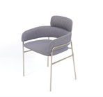 Stainless Steel Leg Leisure Chair For Living Room Modern